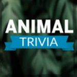 Animal Trivia