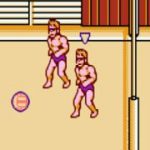 Super Spike V Ball (NES)