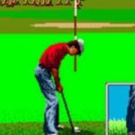 Arnold Palmer Golf (SEGA)