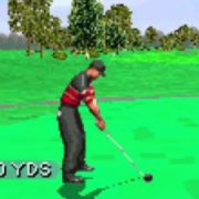 Tiger Woods PGA Tour 2004 (GBA)