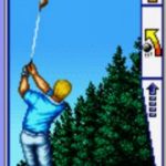 Top Player's Golf (Arcade)