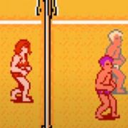 Venice Beach Volleyball (NES)